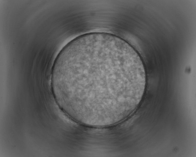 X0000092111284200710101135