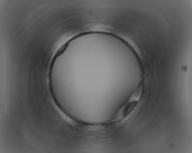 X0000092111285200710101135