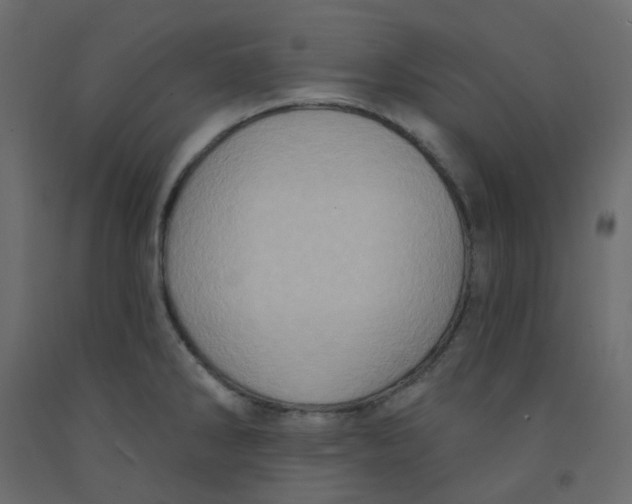 X0000092111286200710101135