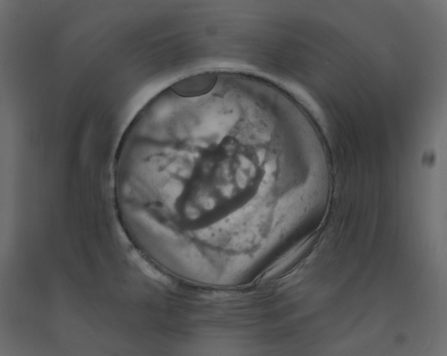 X0000092111287200710101135