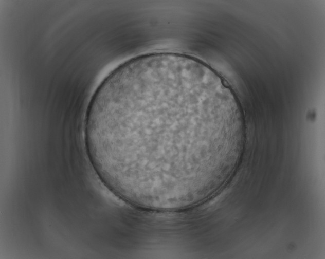 X0000092111288200710101135