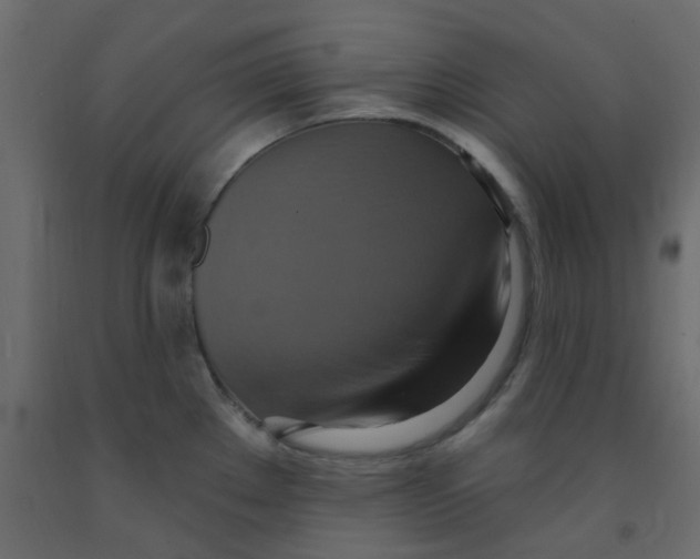 X0000092111289200710101135