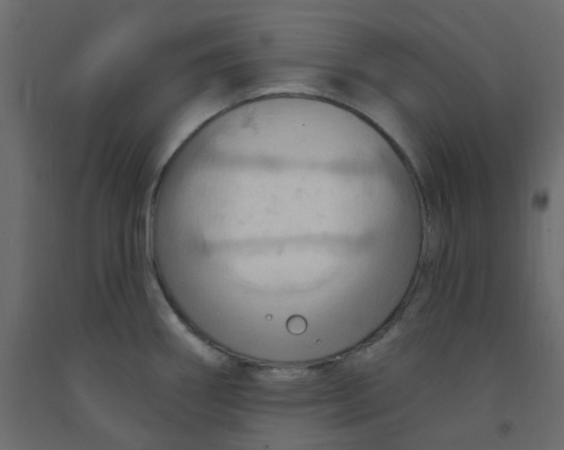 X0000092111290200710101135