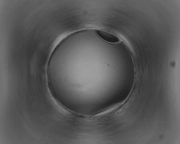 X0000092111291200710101135