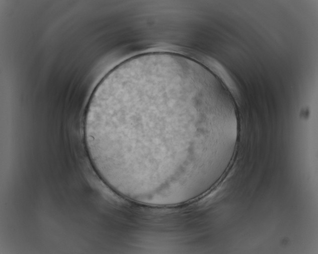 X0000092111292200710101135