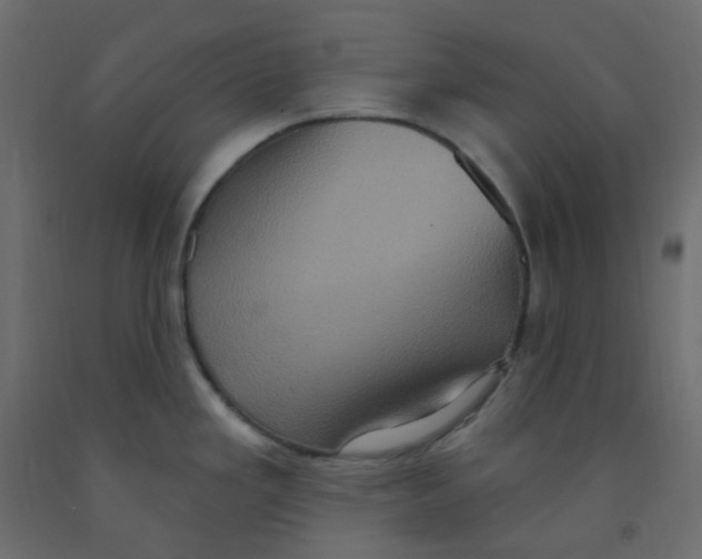 X0000092111293200710101135