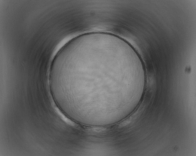 X0000092111294200710101135