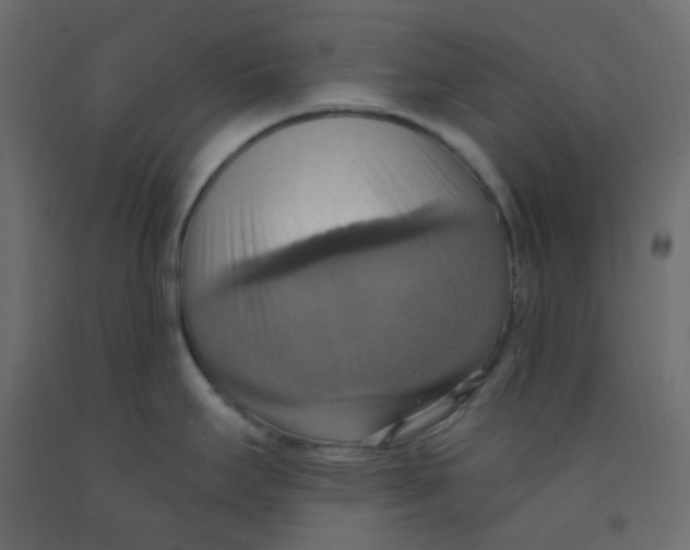X0000092111295200710101135