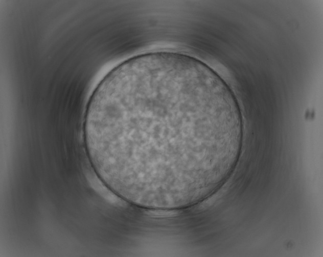 X0000092111296200710101135