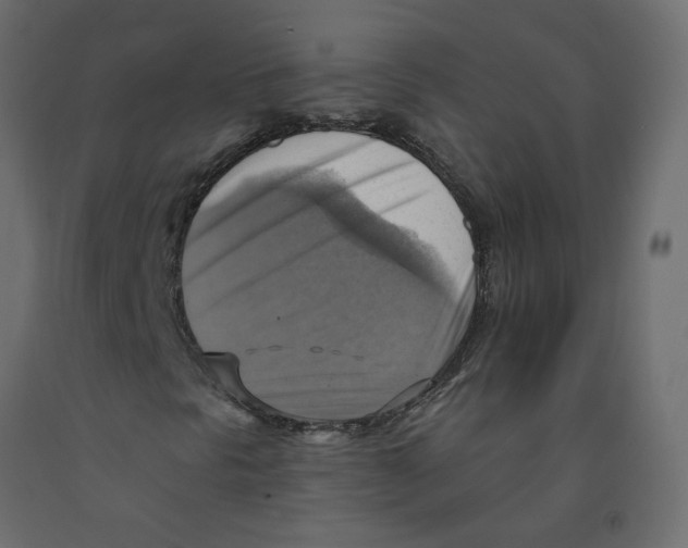 X0000092111297200710101134