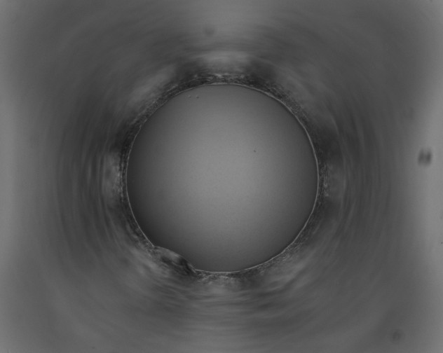 X0000092111298200710101134