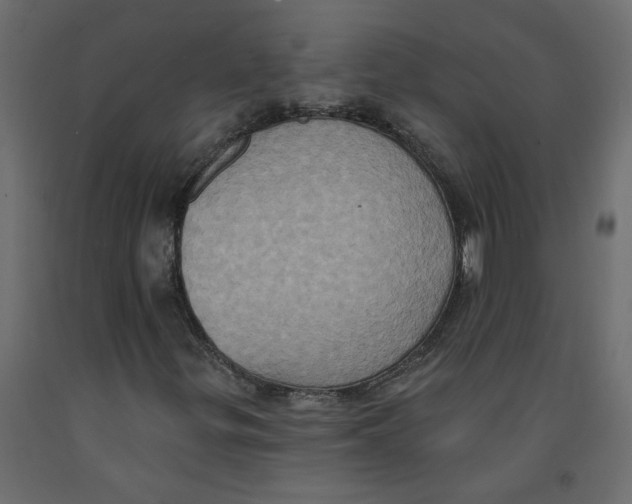 X0000092111299200710101134