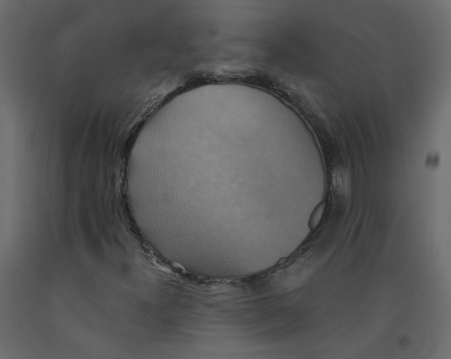 X0000092111300200710101134