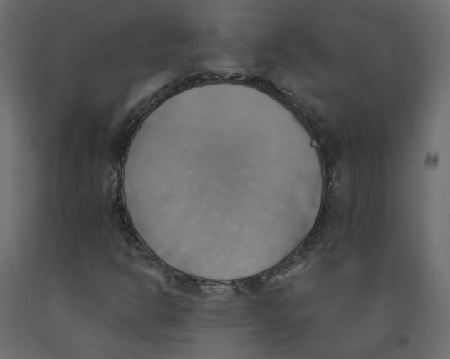 X0000092111302200710101134