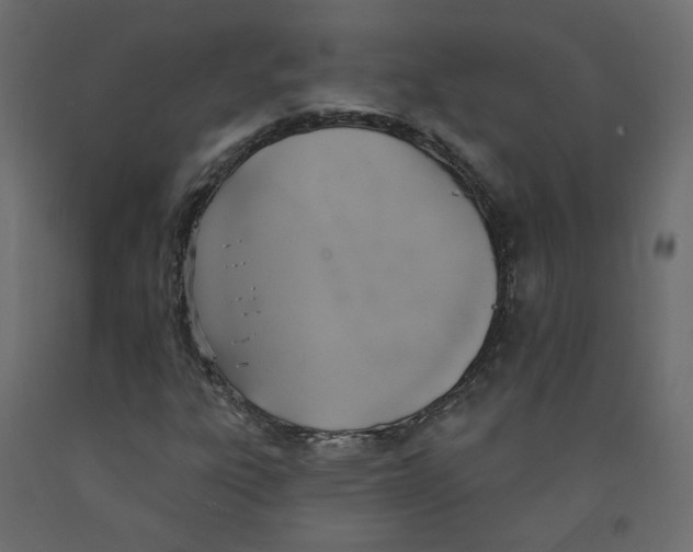 X0000092111303200710101135