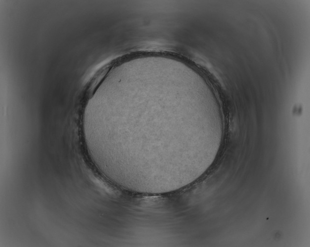 X0000092111304200710101135