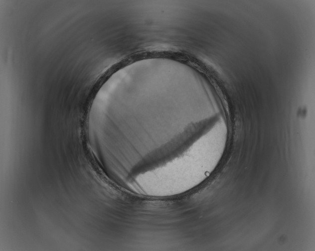 X0000092111305200710101135