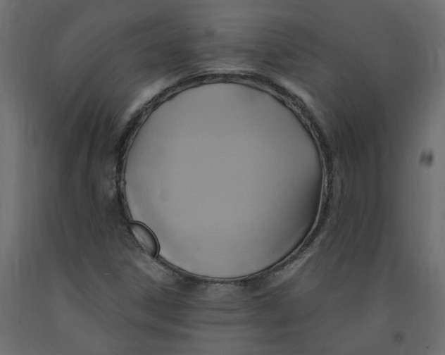 X0000092111306200710101135