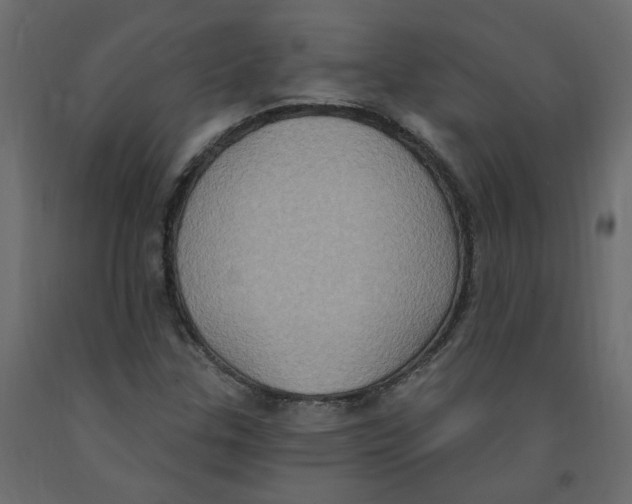 X0000092111307200710101135