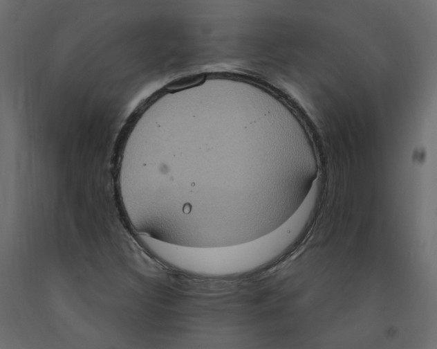 X0000092111308200710101135