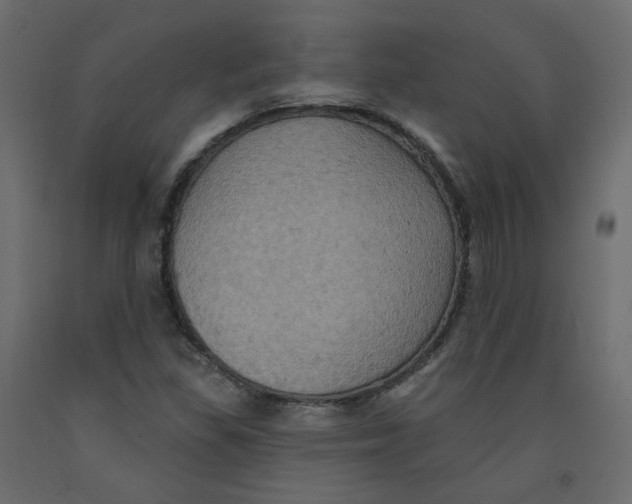 X0000092111309200710101135