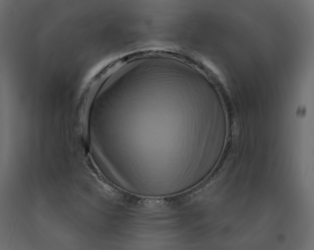 X0000092111310200710101135