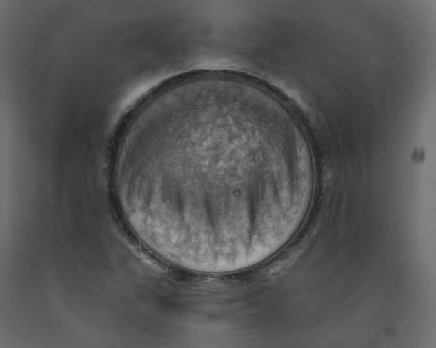 X0000092111311200710101135