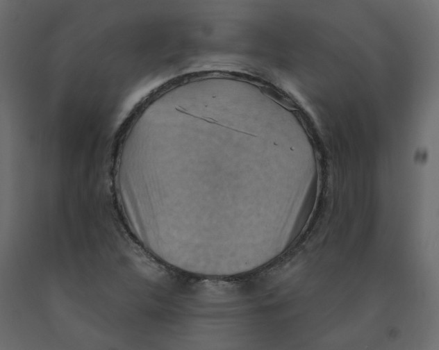 X0000092111312200710101135