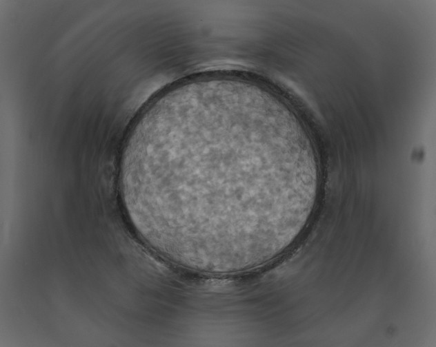 X0000092111313200710101135