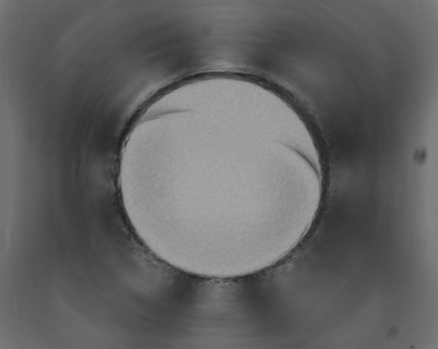 X0000092111314200710101135