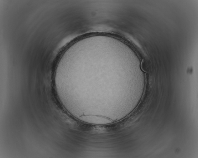 X0000092111315200710101135