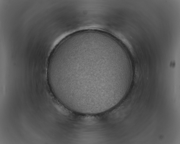 X0000092111316200710101135