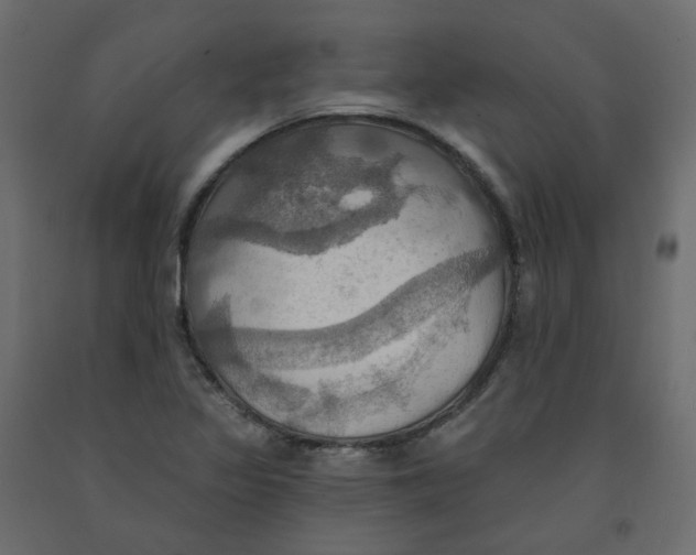 X0000092111317200710101135