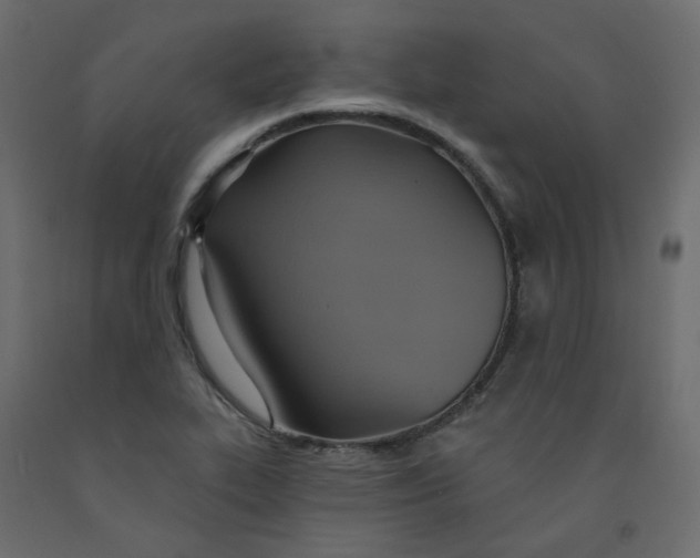 X0000092111319200710101135