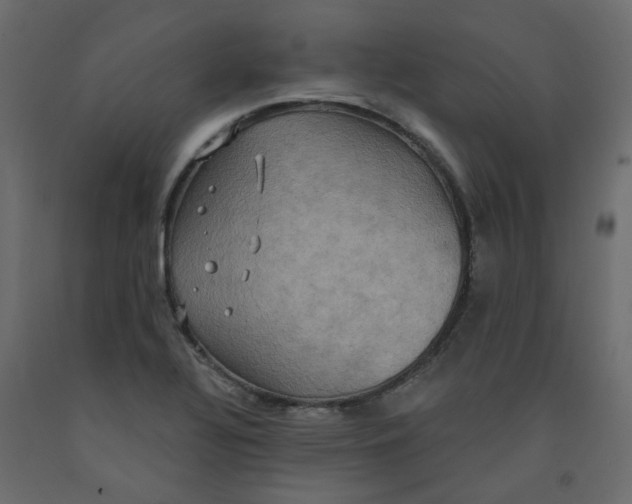 X0000092111320200710101135