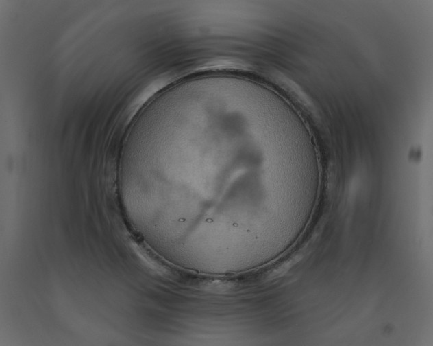 X0000092111321200710101135