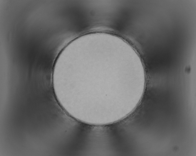 X0000092111322200710101135