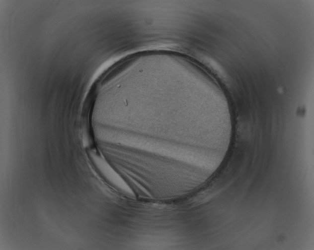 X0000092111324200710101135