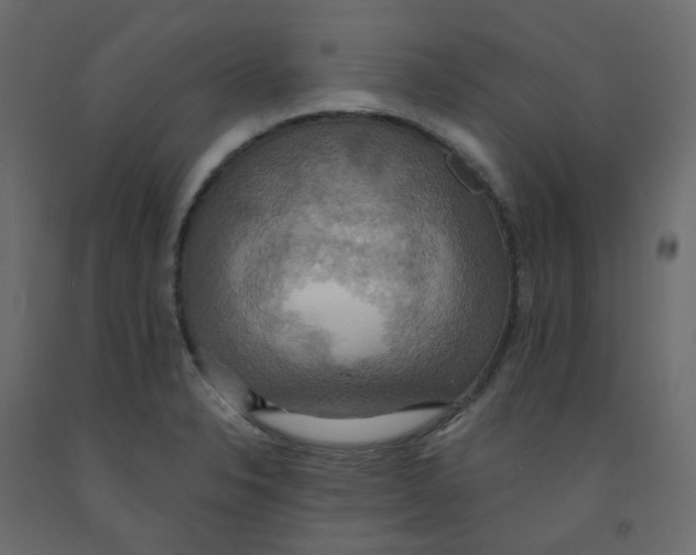 X0000092111326200710101135