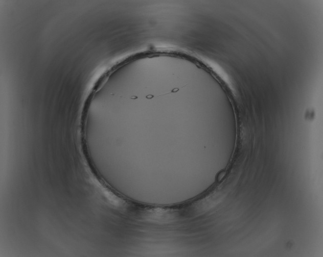 X0000092111327200710101135