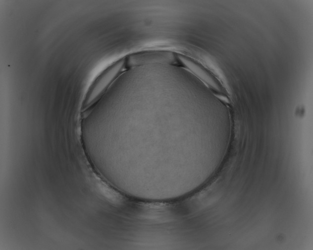 X0000092111328200710101135