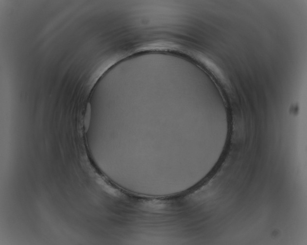 X0000092111329200710101135