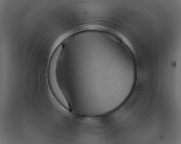 X0000092111330200710101135