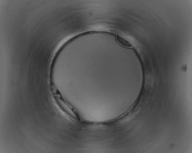 X0000092111331200710101135