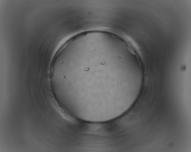 X0000092111332200710101135