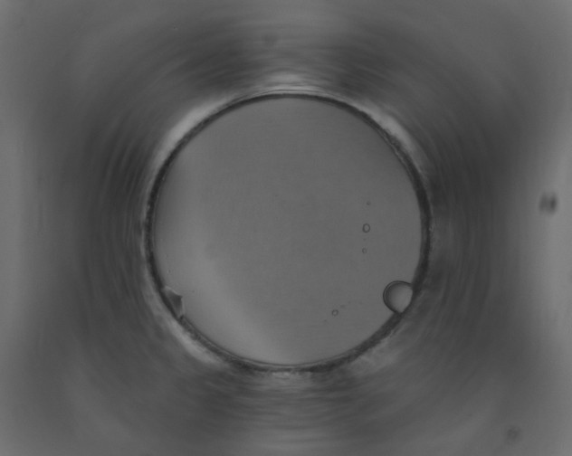 X0000092111333200710101135