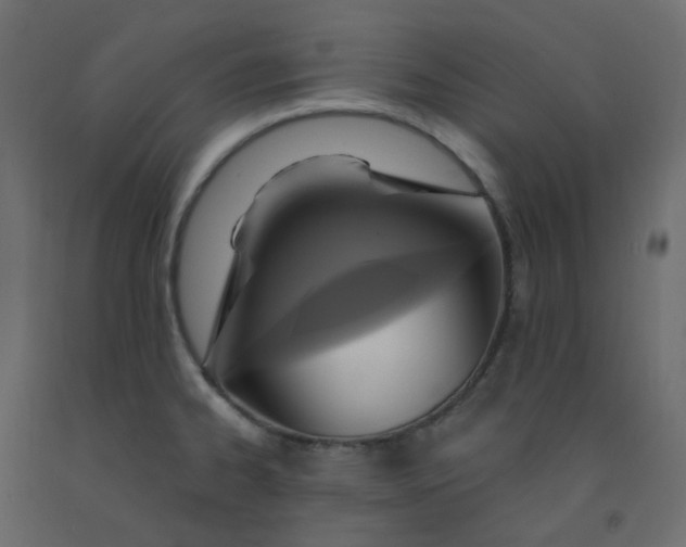 X0000092111334200710101135