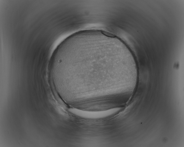 X0000092111336200710101135