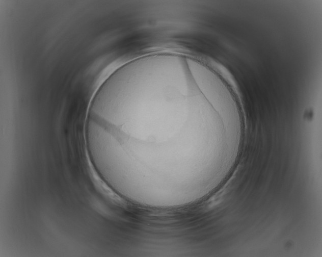 X0000092111338200710101135