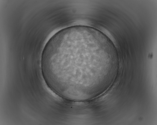 X0000092111339200710101135